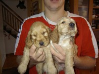 /album/foto/pict1589-jpg/