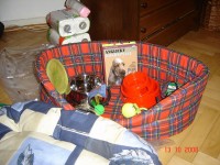 /album/foto/dsc06621-jpg/