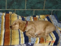 /album/foto/dsc06717-jpg1/