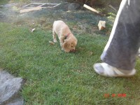 /album/foto/dsc06725-jpg/